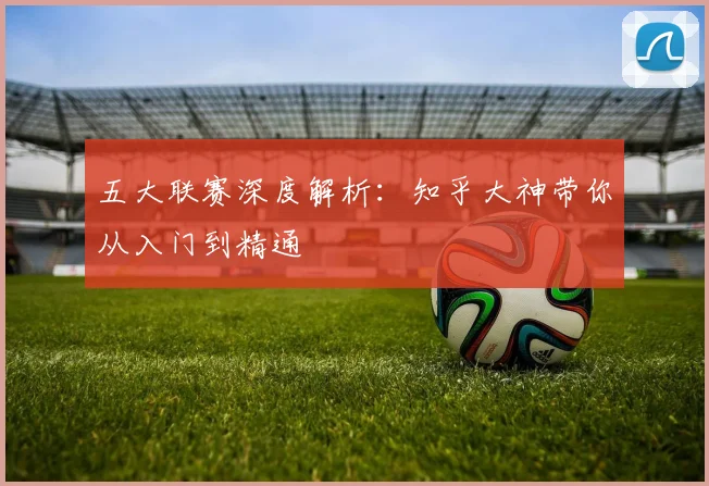 五大联赛深度解析：知乎大神带你从入门到精通